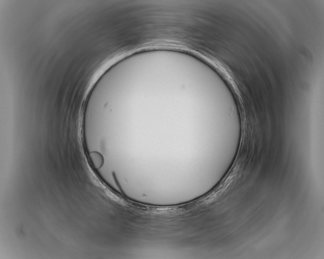 X0000113601390200909181059