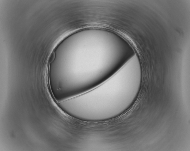 X0000113601391200909181059