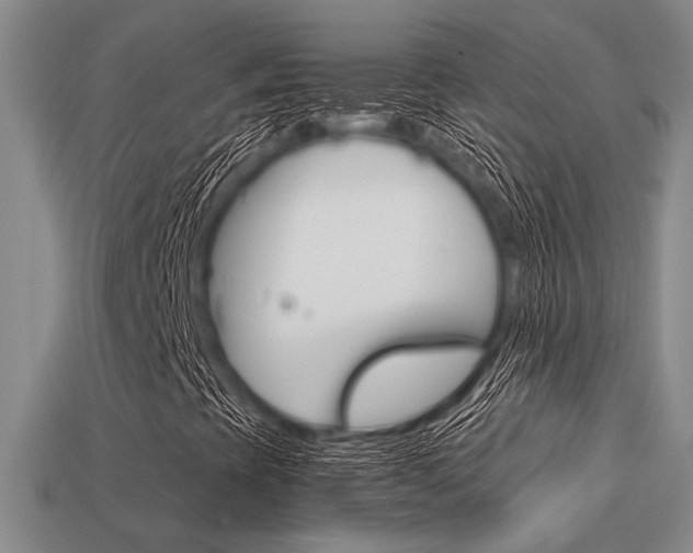X0000113601393200909181059