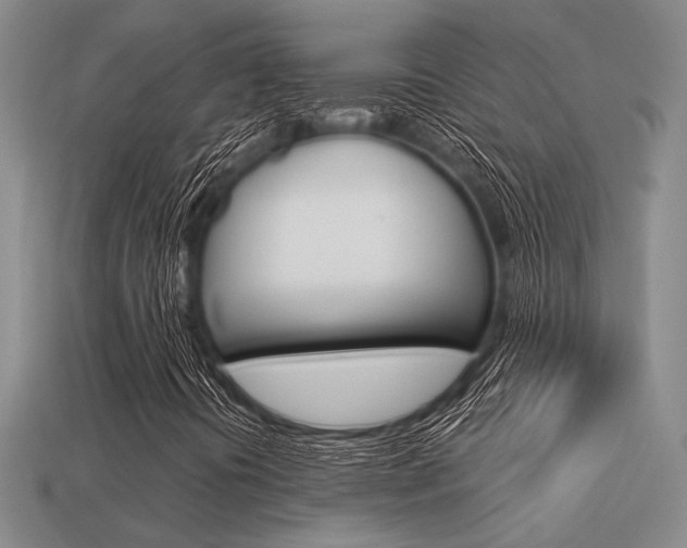 X0000113601394200909181059