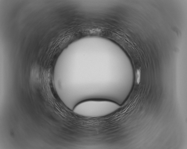 X0000113601395200909181059