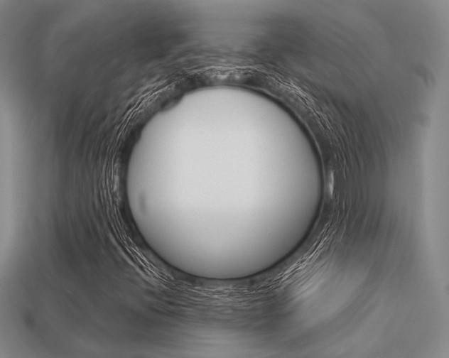 X0000113601396200909181059