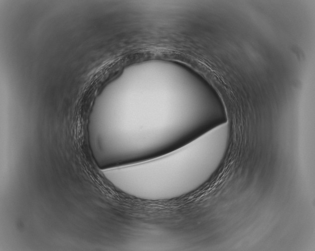 X0000113601398200909181059