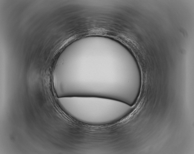 X0000113601401200909181059