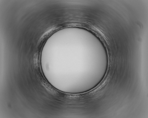 X0000113601403200909181059