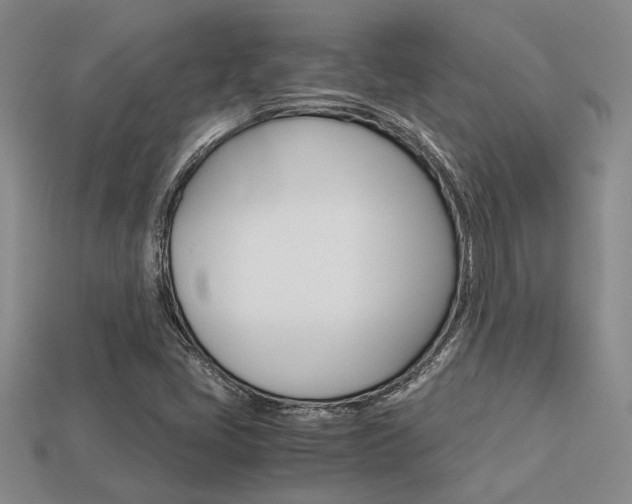X0000113601405200909181059