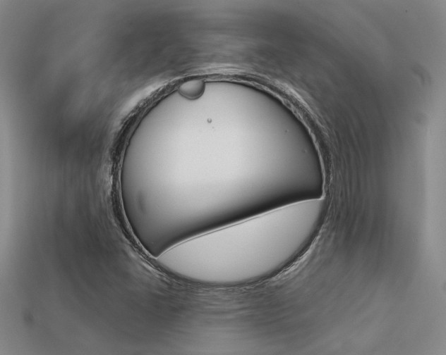 X0000113601406200909181059