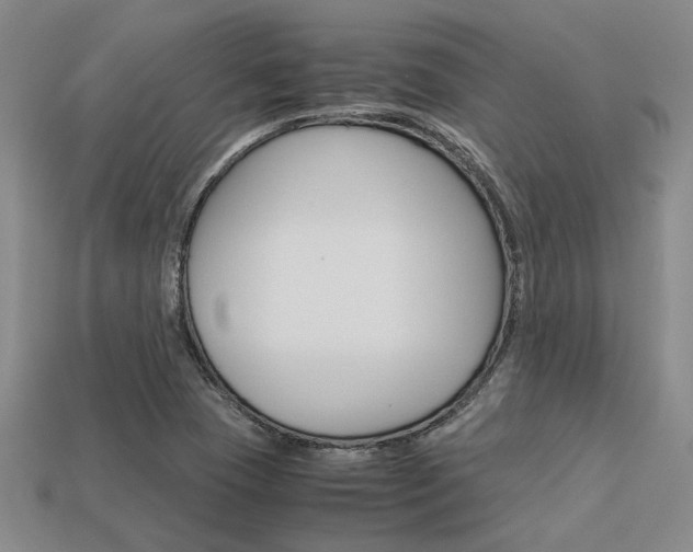 X0000113601409200909181059