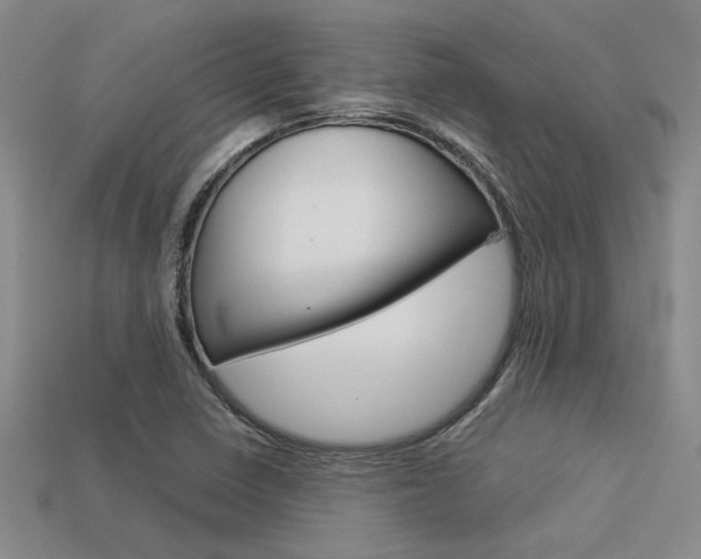 X0000113601410200909181059