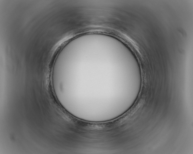 X0000113601411200909181059