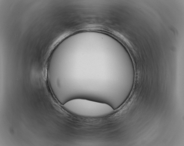X0000113601413200909181059