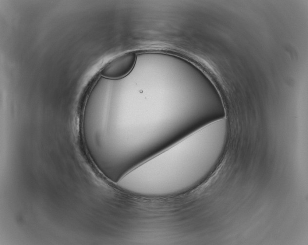 X0000113601414200909181059