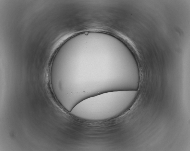 X0000113601415200909181059