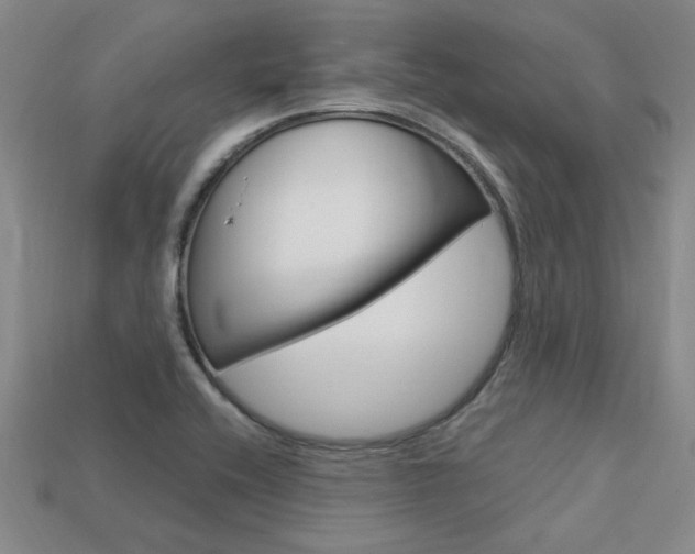 X0000113601416200909181059