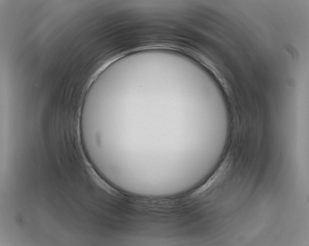X0000113601417200909181059