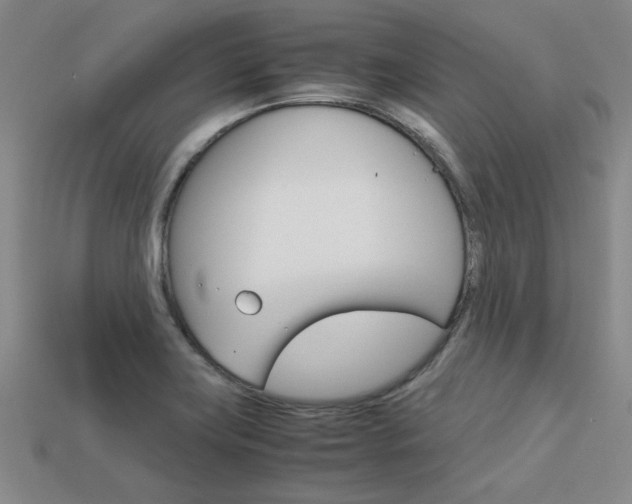 X0000113601419200909181059