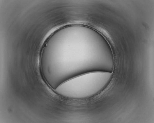 X0000113601420200909181059