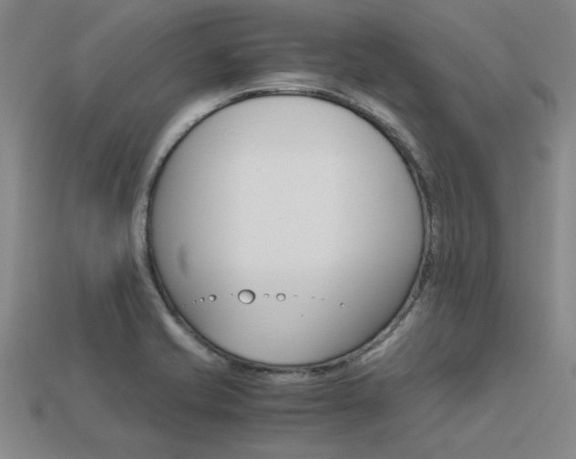 X0000113601421200909181059