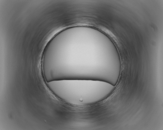 X0000113601423200909181059