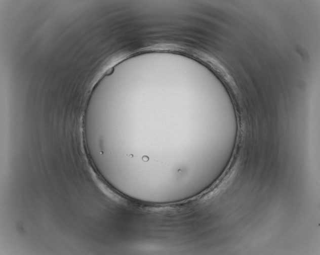 X0000113601425200909181059