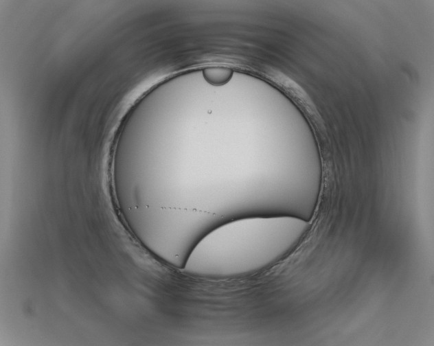 X0000113601427200909181059