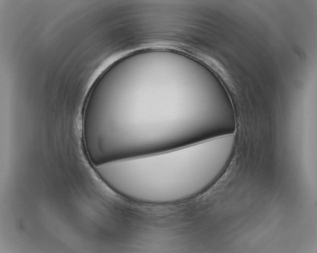 X0000113601428200909181059