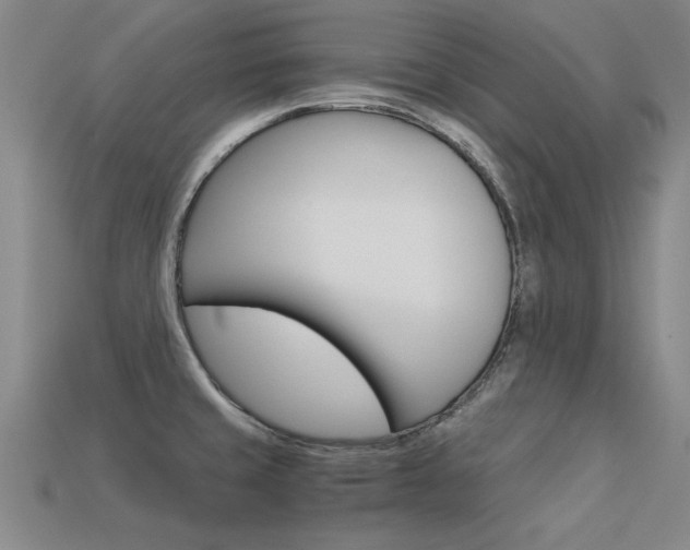 X0000113601429200909181059