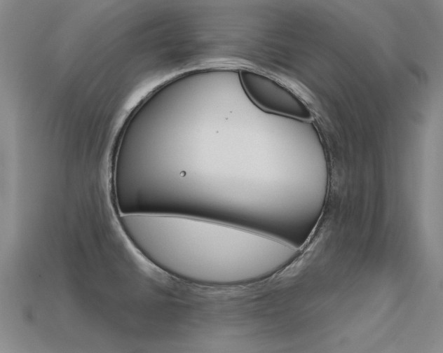 X0000113601430200909181059