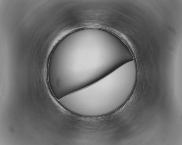 X0000113601432200909181059