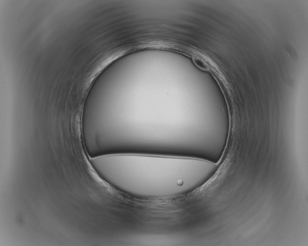 X0000113601433200909181059