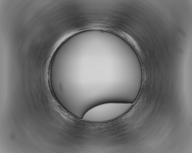 X0000113601435200909181059