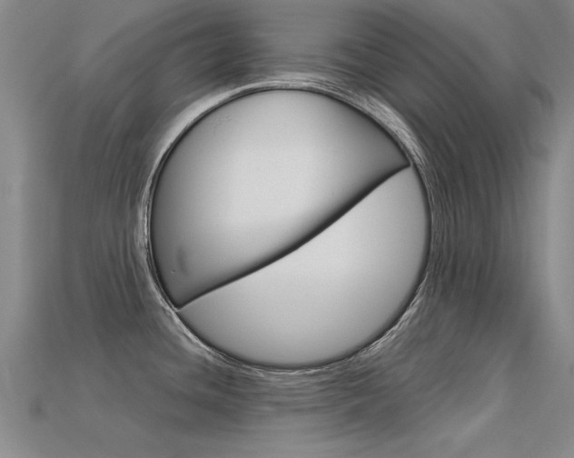 X0000113601436200909181059