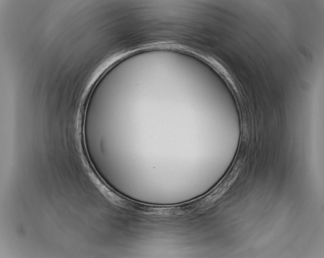 X0000113601438200909181059