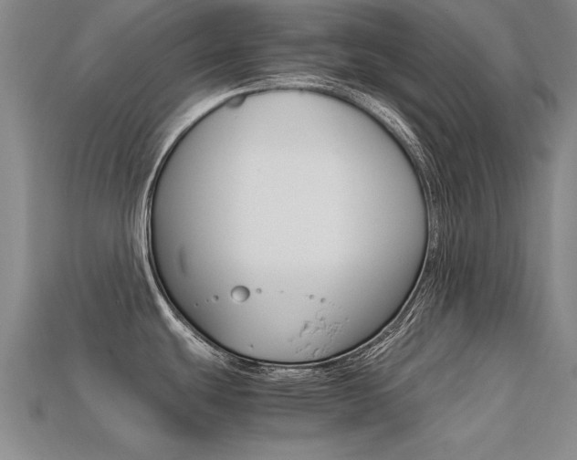 X0000113601439200909181059