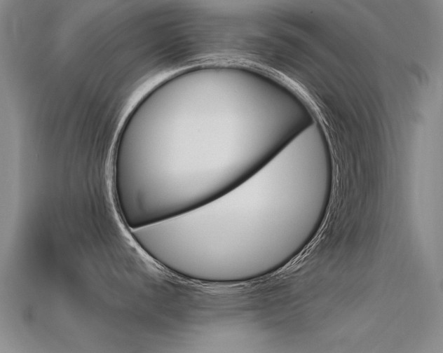 X0000113601440200909181059