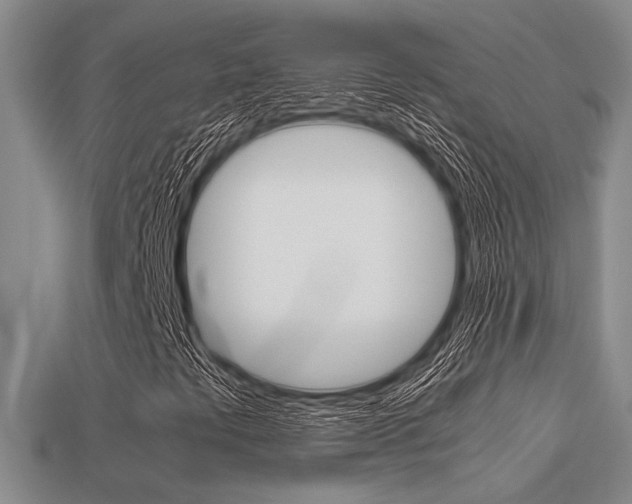 X0000113601441200909181059