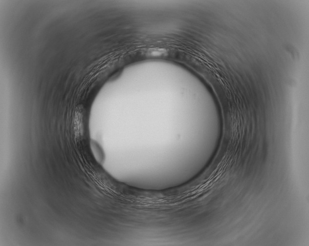 X0000113601442200909181059