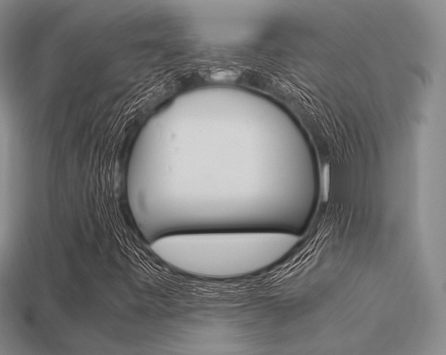 X0000113601443200909181059