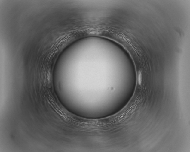 X0000113601444200909181059