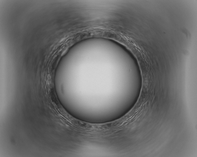 X0000113601445200909181059