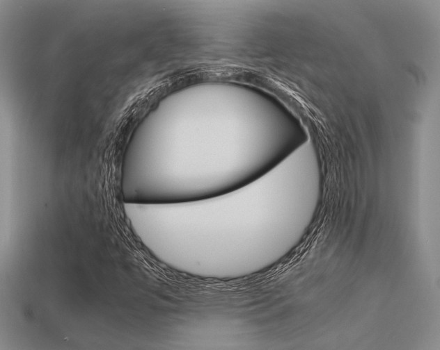 X0000113601447200909181059