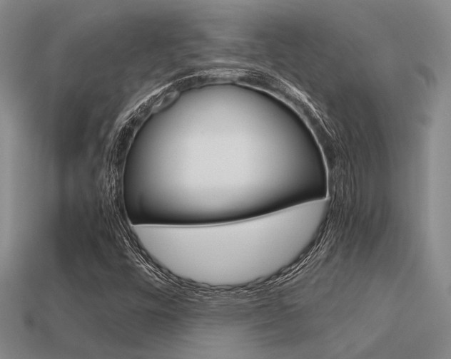 X0000113601448200909181059