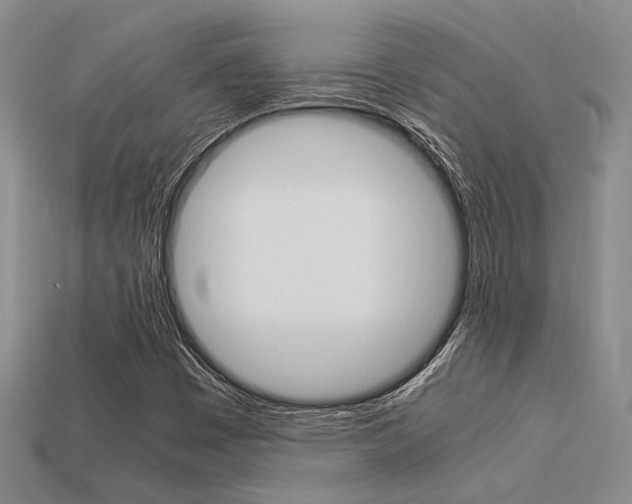 X0000113601449200909181059