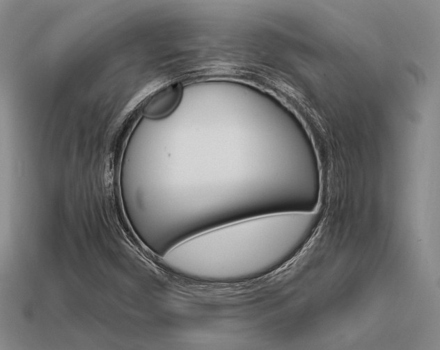 X0000113601450200909181059