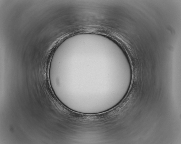 X0000113601451200909181059