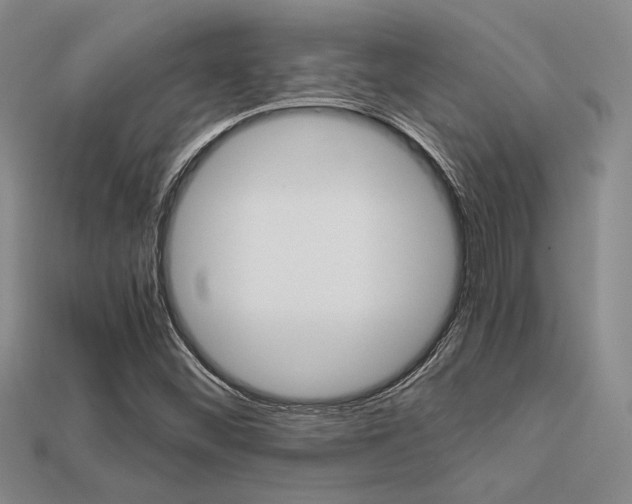 X0000113601452200909181059
