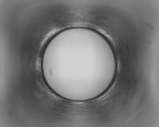 X0000113601454200909181059
