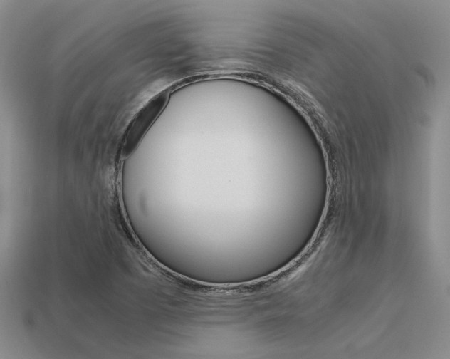X0000113601457200909181059