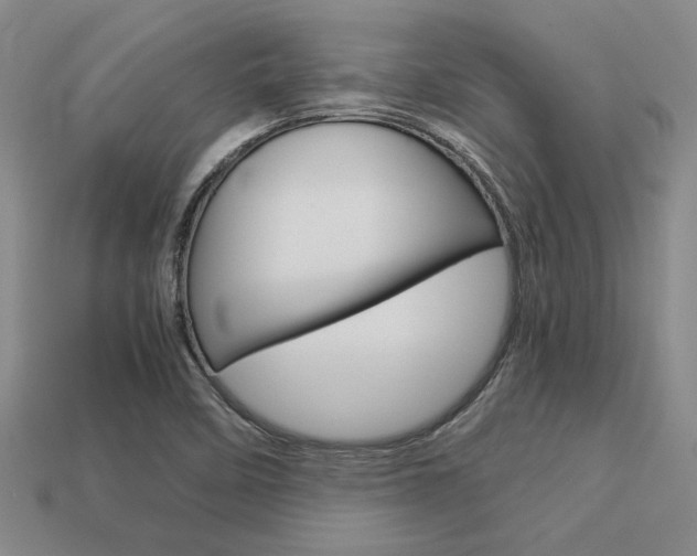 X0000113601458200909181059