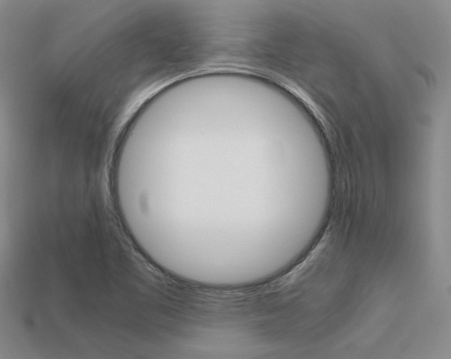 X0000113601461200909181058
